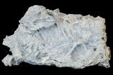 Fibrous, Blue Chalcedony Formation - India #178440-1